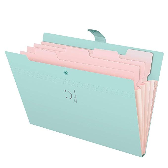 SKYDUE Expanding File Folder,Expandable Folder,Letter A4 Paper Accordion Document Organizer (Jade)
